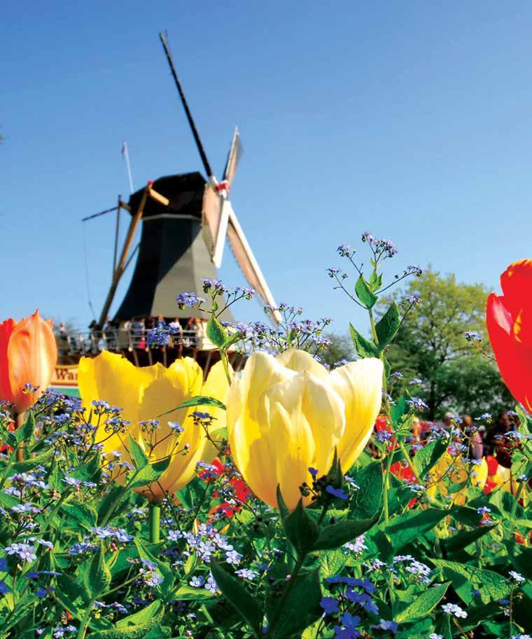 The Netherlands & Belgium Tulip serenade Amsterdam to Amsterdam 8 days from $2,850 per person brand NEW!