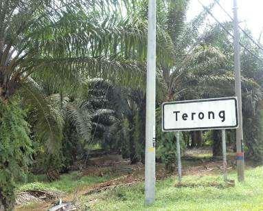 HISTORY Trong is a small town which is located between Changkat Jering and Pantai Remis and is about 15km away from Taiping.