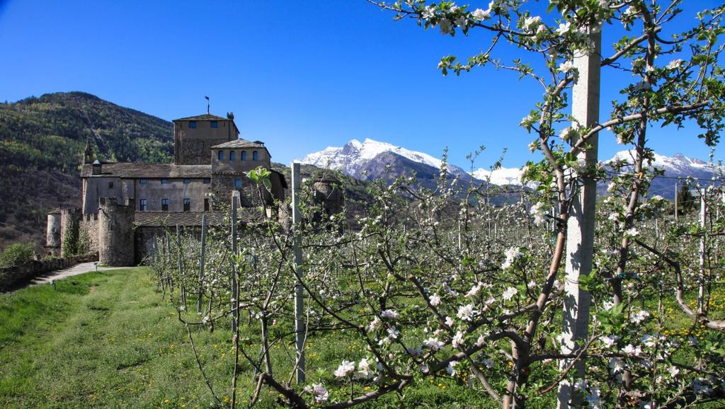 AOSTA VALLEY CASTLES Meeting at the court Castles where you can organize meetings, events,
