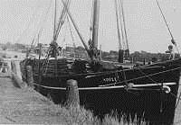 Historical fleet M.V. "Adele" 1906-14.9.1950 Cargo Logger - 110 GRT / 150 tdw, 1906 C.