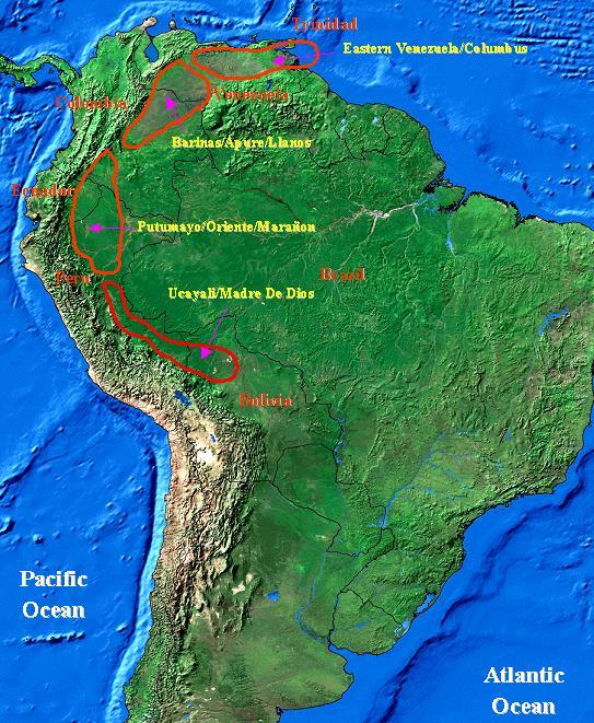 Regional Framework HC Occurrence Peru is located within one of the most prolific hydrocarbon trends in South America: The Sub Andean Megatrend 1 Light oil areas in Western Marañon Basin 2.