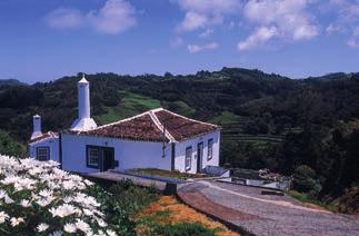 1 2 3 4 Geological History Tour () Praia Formosa (Santa Maria) Colourful Houses (Santa Maria) Pineapples () See, touch and learn the secrets of this volcanic archipelago on a fun and