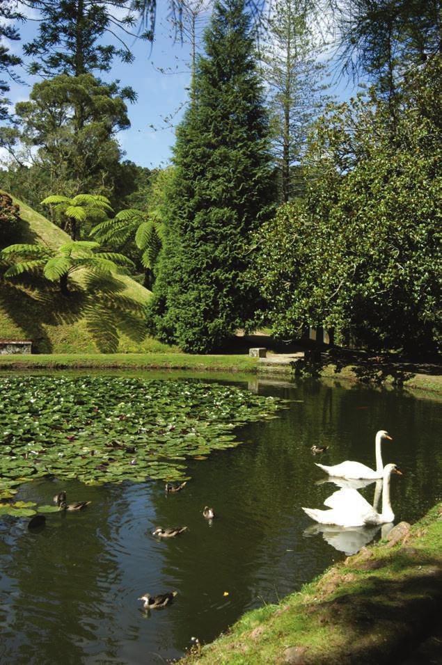 Azores Itinerary * Guide price based on 2-sharing includes: Flights from London Gatwick to Ponta Delgada, 4-nights Terra Nostra Garden Hotel, Furnas BB - Page 59 3-nights Azoris Royal Garden Hotel,