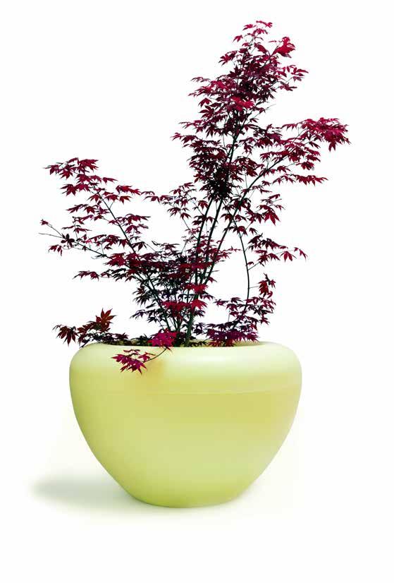 scoop LIGHT Scoop Light can, while also serving as a planter, brighten up twilight hours, evening and night hours and create an atmosphere,