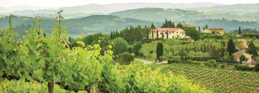 PRE- & POST-CRUISE PROGRAMS Discover the highlights of Tuscany or Rome, and the French Riviera that you might otherwise miss.