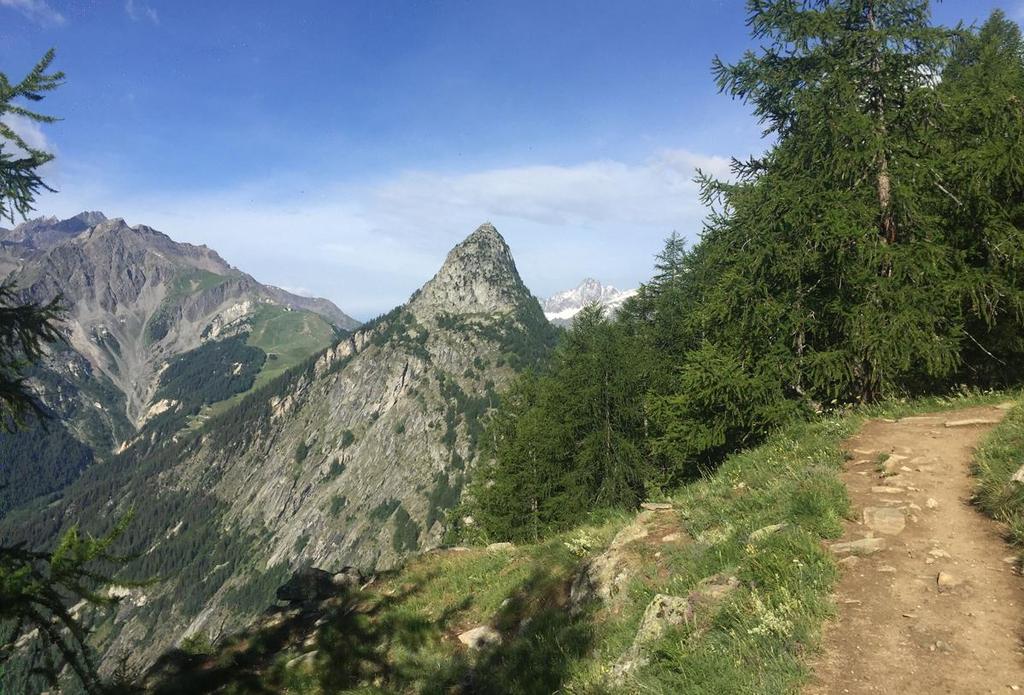 A few things to keep in mind Six consecutive days of running and walking in the Alps, over long distances, sometimes under the effects of altitude (up to 3000 m).