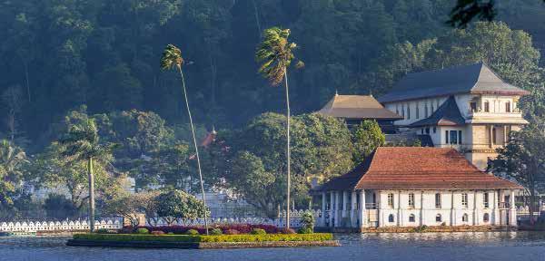 MALDIVES & SRI LANKA $3499 PER PERSON TWIN SHARE TYPICALLY $6399 COLOMBO GALLE KANDY MALDIVES THE OFFER Vibrant culture meets absolute relaxation on this 14 day journey to Sri Lanka and the Maldives.