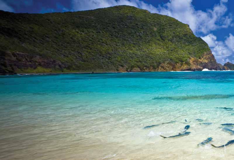 EXCLUSIVE TO KINGS PICK-UP & RETURN FULLY INCLUSIVE TOUR MANAGER SMALL GROUP TOUR RELAXED PACE LORD HOWE ISLAND 9 DAYS, 3 TO 11 APRIL 019 DAY 1 PERTH TO SYDNEY IFM / D Your holidy begins when you re