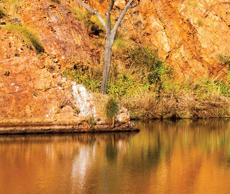 EXCLUSIVE TO KINGS PICK-UP & RETURN FULLY INCLUSIVE TOUR MANAGER SMALL GROUP TOUR MODERATE PACE KIMBERLEY COUNTRY 5 DAYS, 14 TO 18 JUNE 019 DAY 1 PERTH TO KUNUNURRA D Relx nd enjoy your home pick up