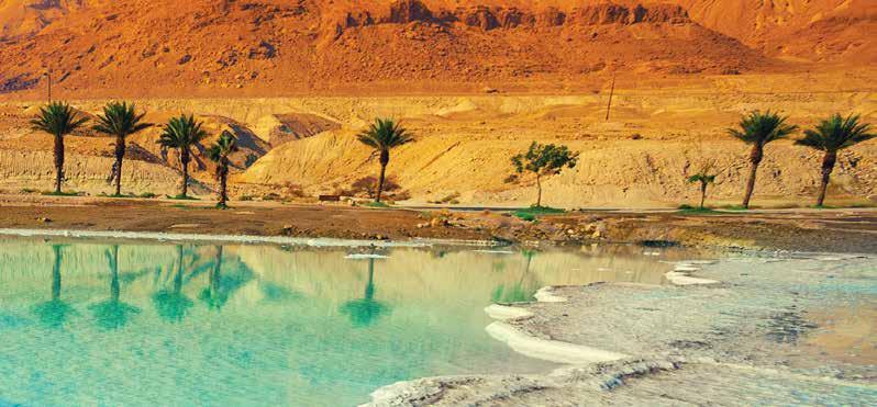 CAIRO 3 4 1 1 AMMAN 1 THE DEAD SEA PETRA ASWAN TOUR HIGHLIGHTS Wtch n evening light disply nd entertining show t the Pyrmids Visit to the Pyrmids & Gret Sphinx Indulge in cooking demonstrtion &