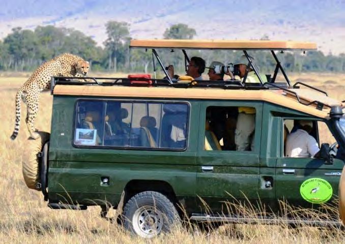 Drive to the Maasai Mara National Reserve, which is probably the most prolific wildlife area in the world.