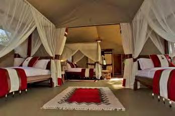 With luxury tents on platforms, Little Mara Bush Camp offers the desired exclusivity for guests who are looking for maximum privacy.