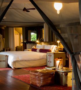 DAYS 6-8 Mara Plains Camp, Maasai Mara 2 nights at Mara Plains Camp in a luxury tent on a fully inclusive basis. The Maasai Mara is one of Africa s most famous wildlife parks.