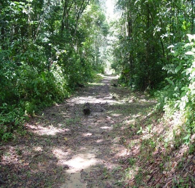 trail to historical site of