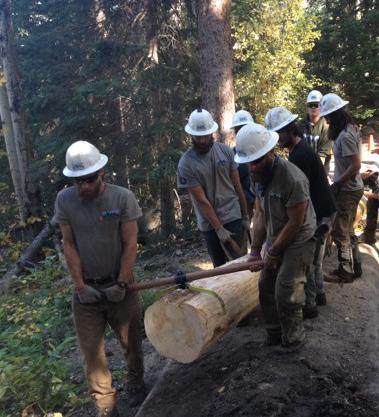 Buchanan Trail (#910) USFS and BMA teamed up to make huge progress addressing a litany of repairs on Buchanan Trail.