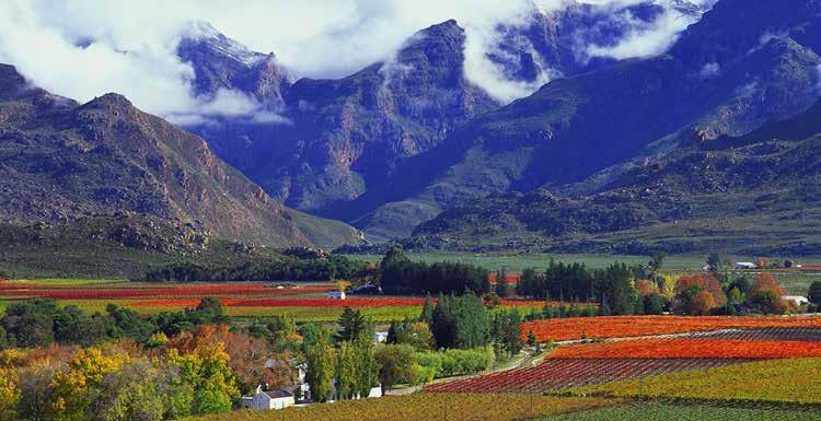 Visit the beautiful winelands of Stellenbosch This tour reveals the many faces of this beautiful and diverse land while giving you fascinating insight into South Africa s historical and current
