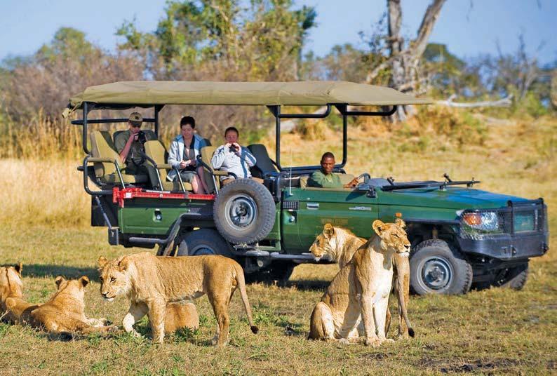 carefully planned to showcase Africa s culture, wilderness and incredible game reserves.
