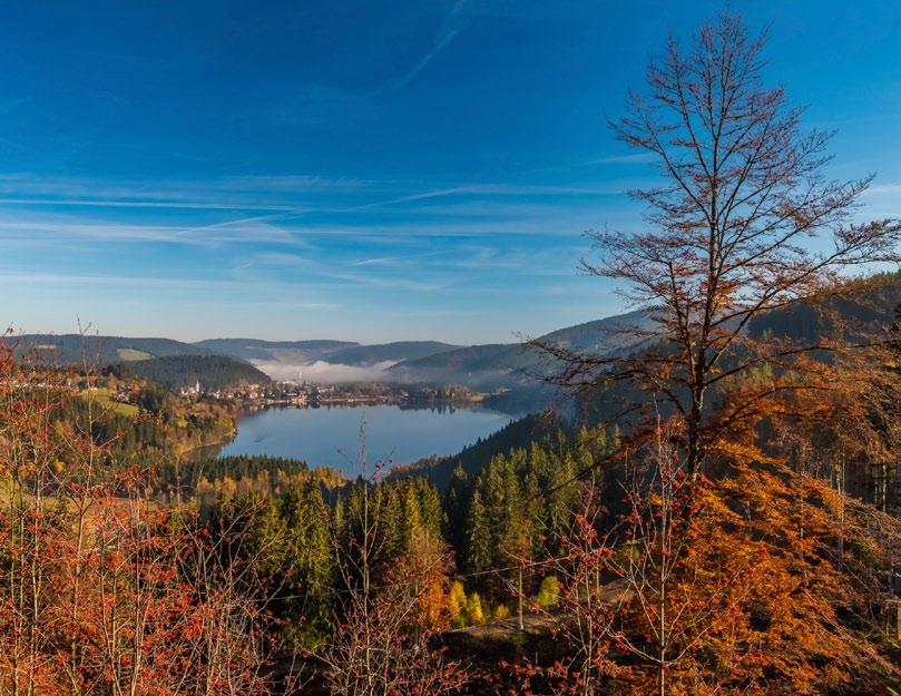 Black Forest Highlands Diversity With the Hochschwarzwald Card, which you receive from us if you stay for a minimum of two nights, you can take advantage of over 100 leisure