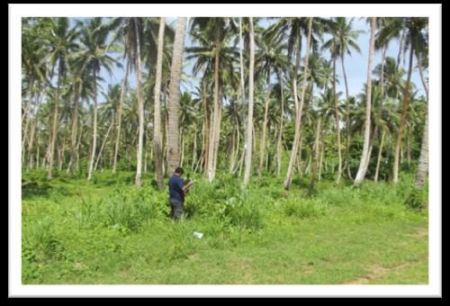 Curuki from TLFC confirming the land names. b). Mr. Paul Raju briefing the Figure members 6: Site about at Malaka the project. village. a). View from road side. b). View from village end.