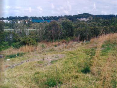 Belmont North Wetland is a substantial remnant of the Jewells Wetland System between