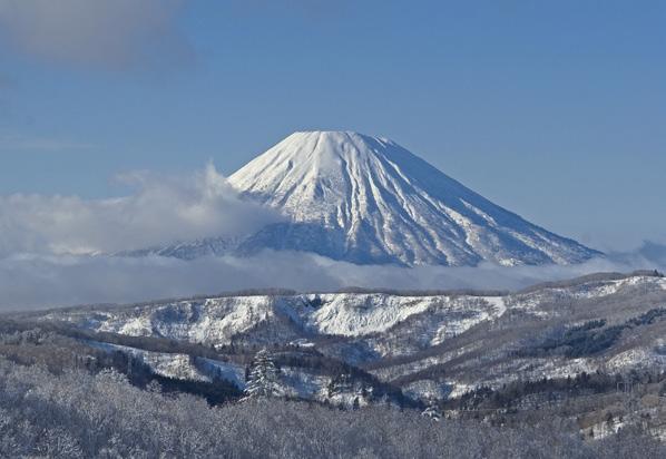 The Niseko area averages a whopping 18 metres of snowfall annually, making it a winter wonderland for visitors of all ages.