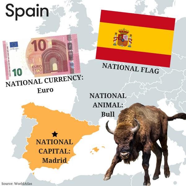 Nature Spain is a link between Europe and Africa. For this reason, it is an important resting spot for migratory birds. Spain is also home to such animals as the wolf, lynx, fox, deer and wild goat.