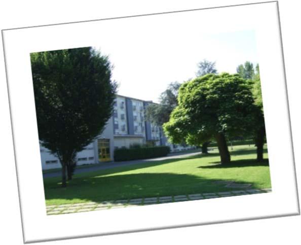 1.3 ACCOMMODATION The International Relations Office will support you in your accommodation researches: When possible, a room at the campus students residence (CROUS) will be offered to you.