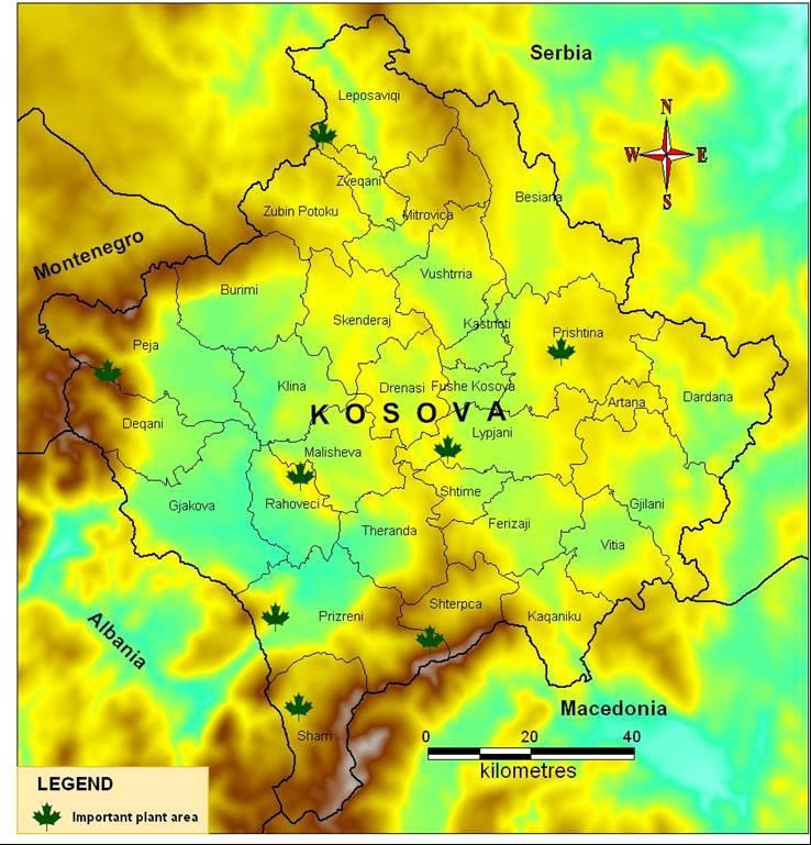rreth 2.800-3.000 lloje të florës vaskulare. Bazuar në njohuritë aktuale, vegjetacioni i Kosovës është i përfaqësuar me 139 asociacione bimore të grupuara në 63 aleanca, 35 rende dhe 20 klasa.