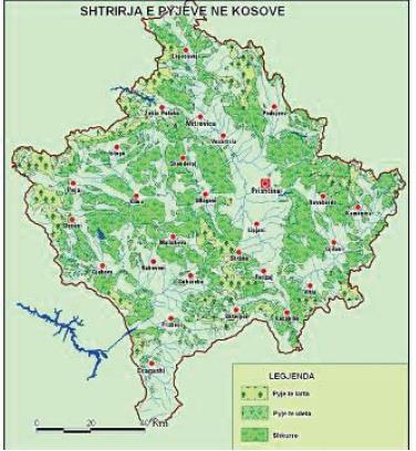 Sipërfaqet pyjore në Kosovë janë të qëndrueshme në përafërsisht janë rreth 481,000 ha (44,7% të sipërfaqes së përgjithshme). Të dhënat tregojnë se sipërfaqja pyjore është rritur me 5% (20.
