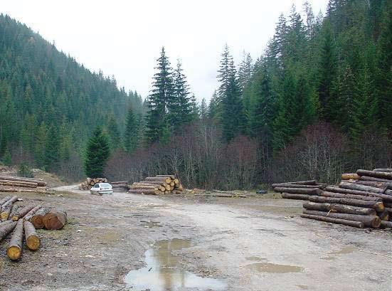 Figura 3: Mbulushmeria e pyjeve në Kosovë Burimi: AMMK Raporti i Natyrës 2006/2007 Figura 4 prerjet e trungjeve në Rugovë Rreth 38% e sipërfaqes pyjore është në pronësi private, ndërsa 62% e pyjeve