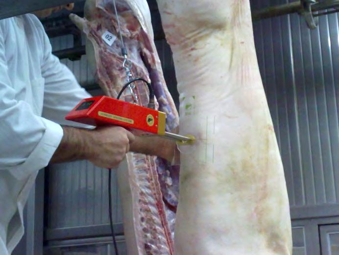 Hrvatska poljoprivredna agencija Tablica 42. Broj klaonički obrađenih i klasiranih svinjskih trupova kategorije utovljenih svinja (T1) po klasama i prosječnom postotku mesnatosti za period 2013.