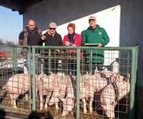 Croatian Agricultural Agency prirode Lonjsko polje, a financiran je od strane Europske komisije, predstavljen je uzgojni program za uzgoj turopoljske svinje, dosadašnji rezultati projekta, prijedlog