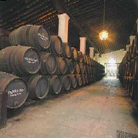 Considered as the capital of wine and horses and cradle of flamenco, it possesses wonderful and exclusive tourist resources: wine and "bodegas" (wine-cellars), the Royal Andalusian School of