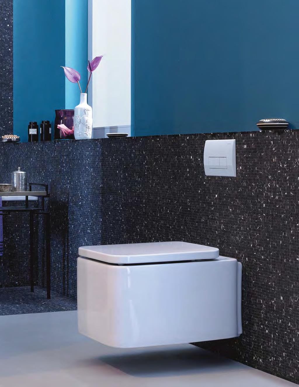 On the cover: Lacava Trevi toilet with Samba flush plate in polished