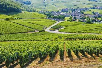 TREASURES OF BURGUNDY An eight day river voyage along the Saone 11 th to 18 th April 2019 Leave the crowded roads behind and relax on board our elegant river vessel as she cruises through Burgundy on