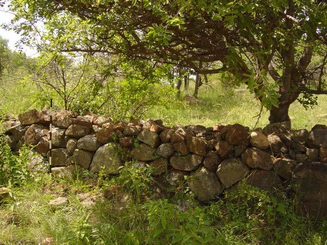 No. 5 Typical stonewalling of the