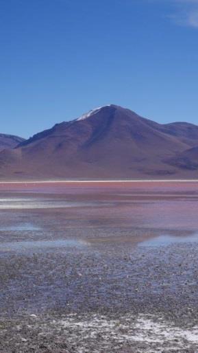 THEME 3 AMERIQUE DU SUD / BOLIVIE / LAGUNA COLORADA The Laguna colorada or the "colored lake" in Spanish, is located on the Bolivian altiplano at more