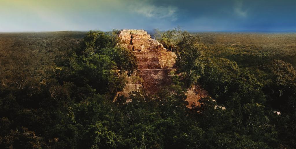 CALAKMUL NATURE RESERVE This protected area, home to the eponymous Mayan city, is Mexico s largest jungle and unesco declared it a biosphere reserve in 1989.