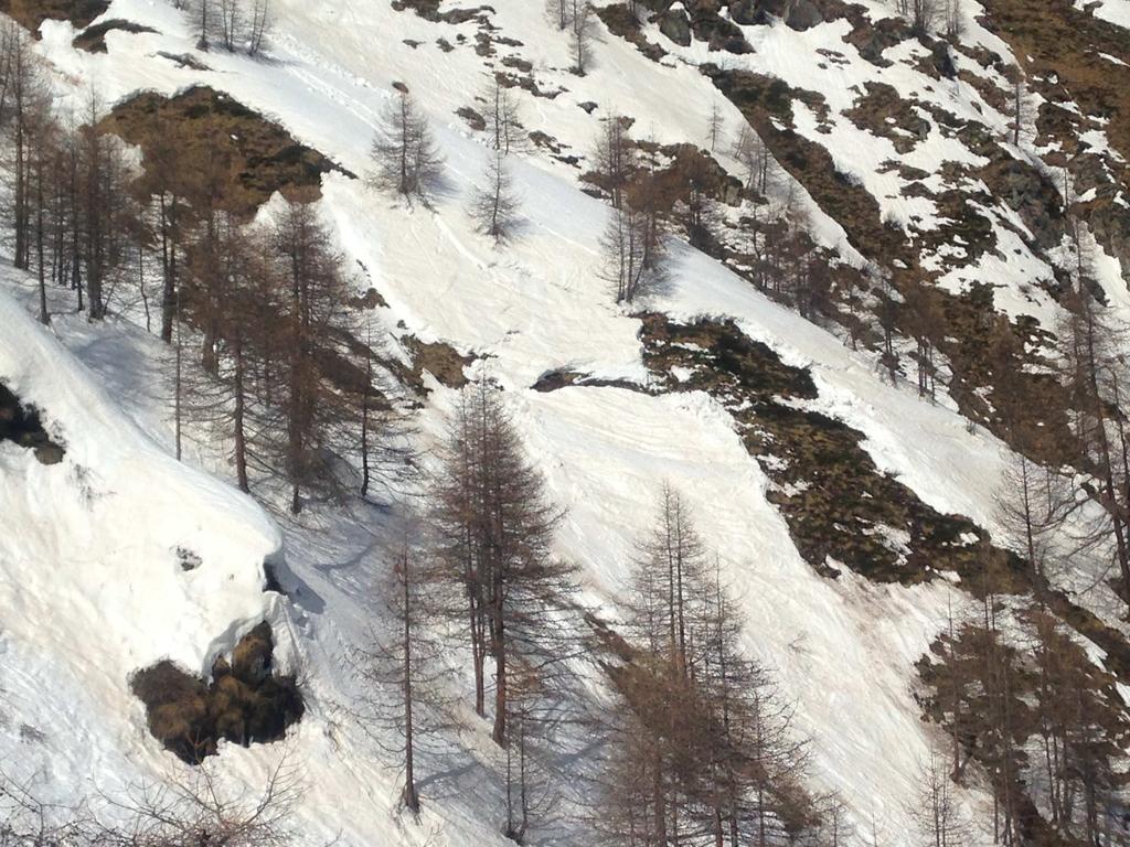 Finally, many artificial avalanche releases were carried out in the site Pista Larici, also trying innovative methods still in a testing phase, but without any avalanche release.