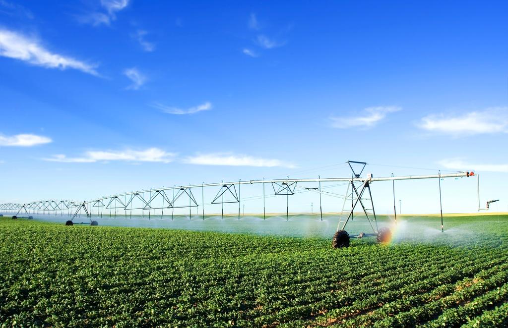 *big picture Agriculture as an industry must change radically. Data will drive that change.