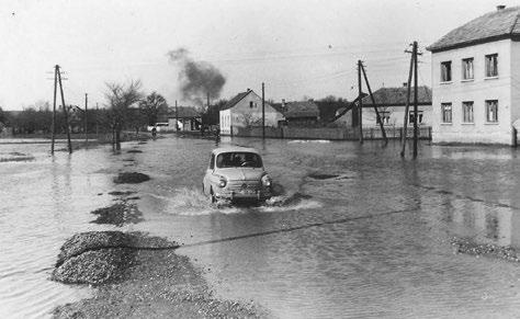 Voda se iz Križevačke ulice prelijevala prema Dubovcu i u Basaričekovu ulicu prema Taraščicama 1963. godine (zbirka I. Čičin Mašansker) no»8000 jutara zemljišta«, uglavnom usjeva i livada.