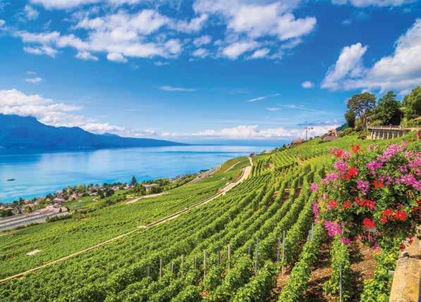 LAVAUX WINE REGION, LAKE GENEVA Terms & Conditions Deposit & Final Payment A $1,000-per-person deposit is required to reserve space for this program. Sign up online at alumni. stanford.edu/trip?