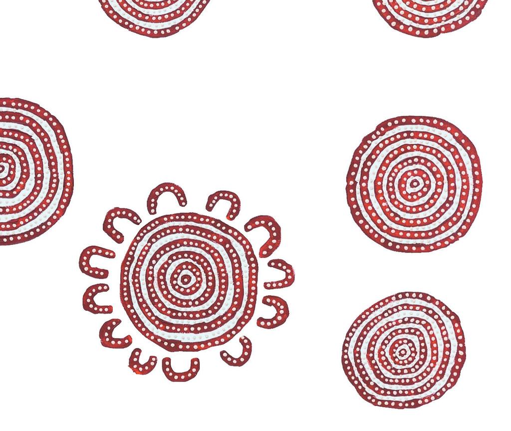 Reconciliation Action Plan (RAP). Reconciliation is about unity and respect between Aboriginal and Torres Strait Islander and non-aboriginal and Torres Strait Islander Australians.