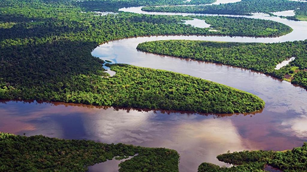 The Amazon has many tributaries, which are smaller rivers that flow into a larger