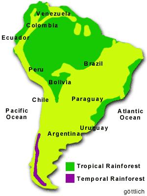 Rainforests are located between the Tropic of Cancer and the Tropic of Capricorn.