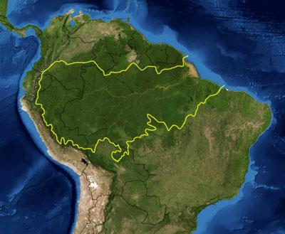 The Amazon is the worlds largest
