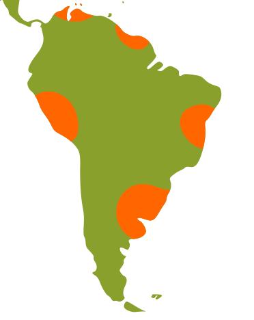 South America is a major