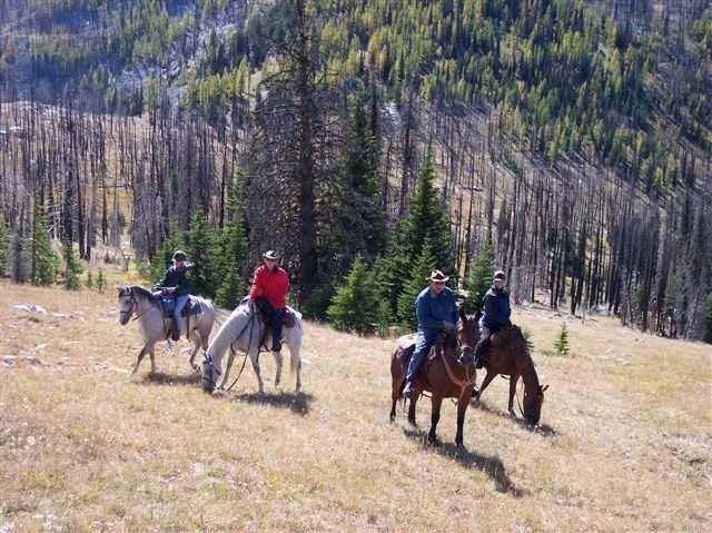 From Linda and Frank Oborne Honey Moon Pass ride Saturday Sept 4th This ride will leave the lower Salmon meadows (at the corral) 10:00 sharp.