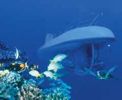 Maui MAUI SIGHTSEEING Atlantis Submarine Marvel at Maui s unique underwater paradise aboard a high-tech 48 passenger submarine.
