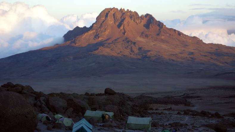 Day 5: Hike Horombo Hut to trail head, drive to Arusha or Moshi Elevation: 3700m/12,200ft to 1700m/5500ft Distance: 20km/12.